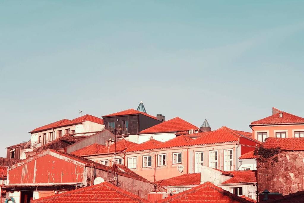 Historical Porto Apartment 外观 照片